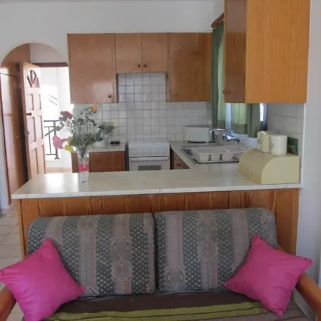 מלון דירות Andries פאפוס